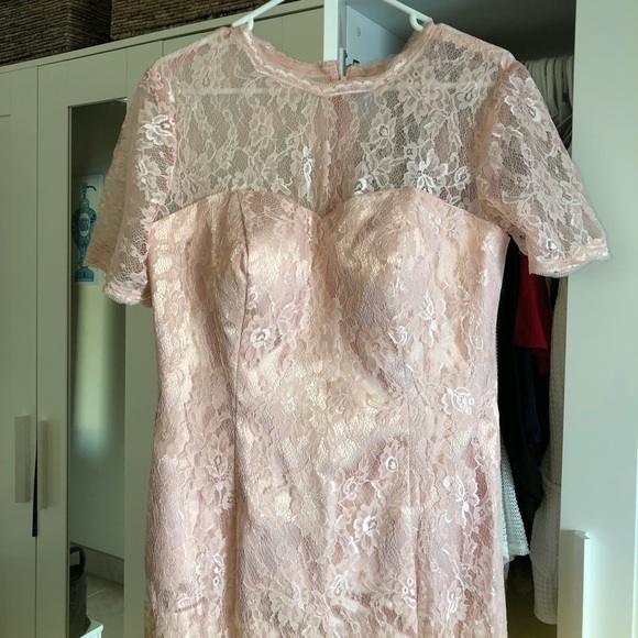 Blush lace full length dress - Picture 4 of 6